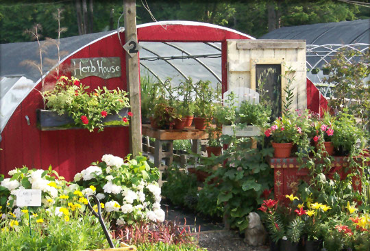 New Hampshire herb house